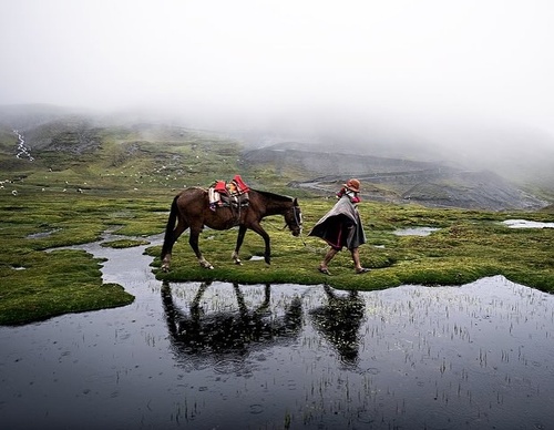 Galería de fotografía de Alessandro Bergamini - Italia