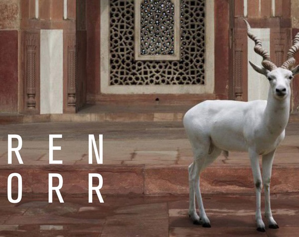 Karen Knorr | Transmigraciones