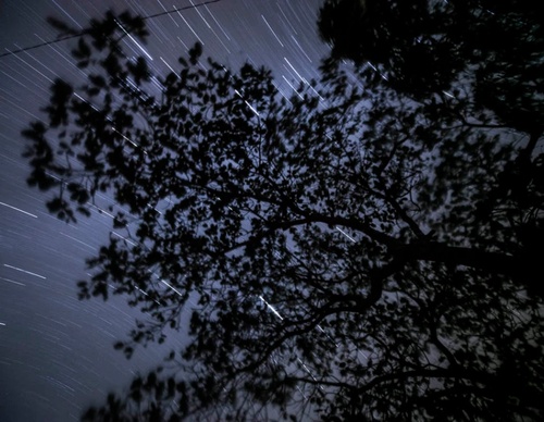 Gallery of photography by Gustavo Bettini-Brazil