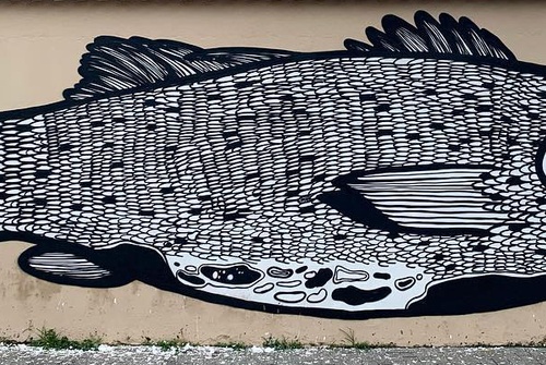 Gallery Of Street Art By Alex Senna - Brazil