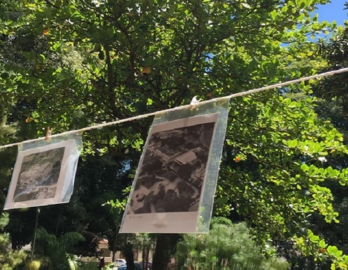 Amparo en Foco Festival de Fotografía Estado de São Paulo