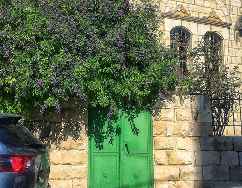 Galería de fotografía de puerta en Palestina