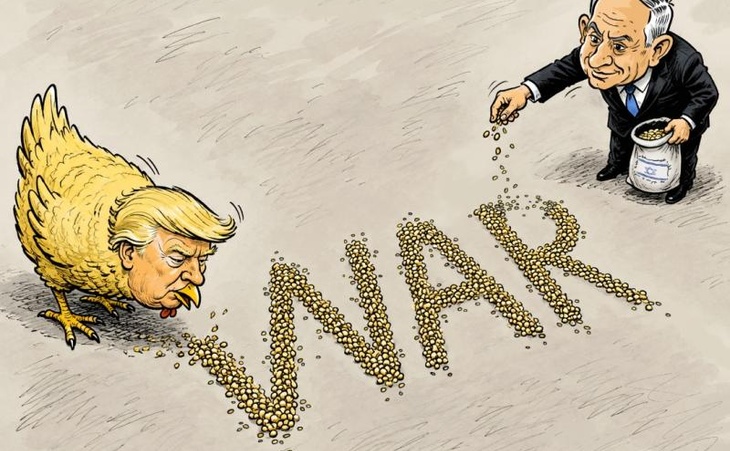 Grains of War