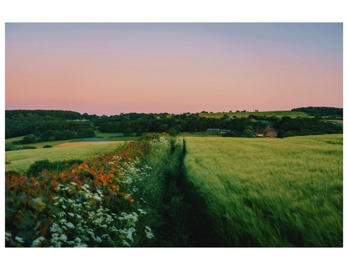 Gallery Of Photography By Daniel Casson - England