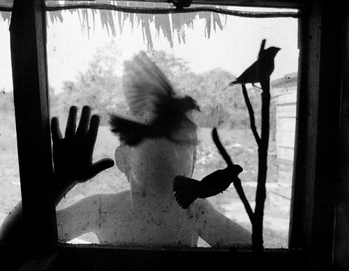 raul canibano