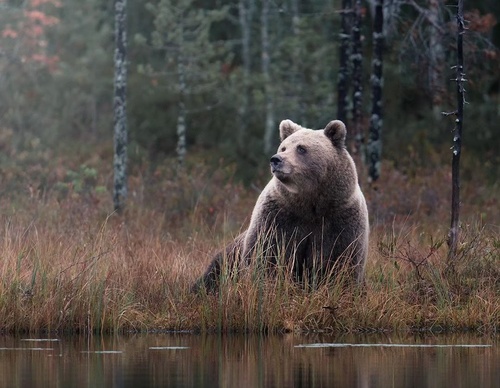 Gallery Of Photography By Elias Kalliola - USA