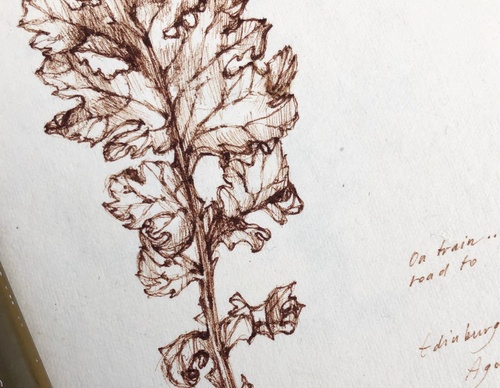 Gallery of Drawing by GiacoMina Ferrillo-Italy