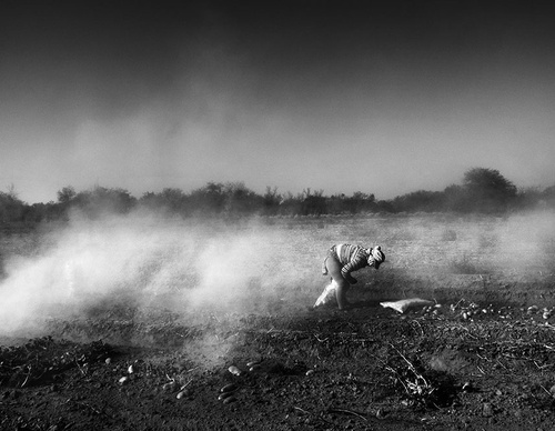 world press photo