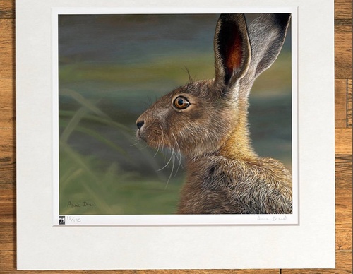 Galería de pintura realista de Annie Drew - Reino Unido