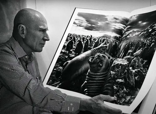Documentary Photography – The Witnessing Gaze