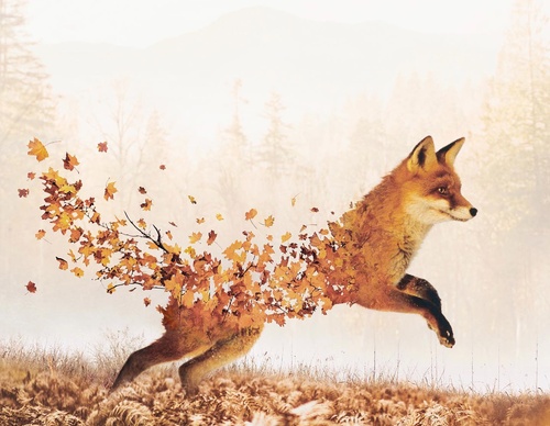Galería De Ilustración De Luisa Azevedo - Portugal