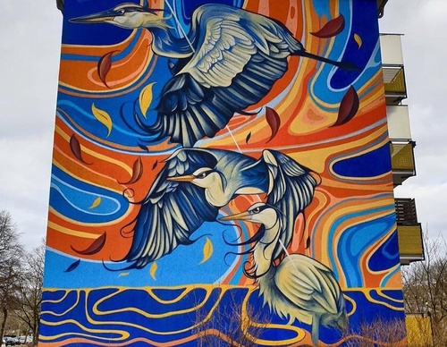 Gallery Of Street Art By Fio Silva - Argentina