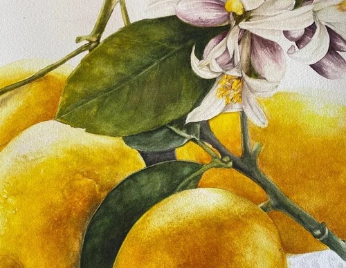 Galeria de Pintura de Silvia Trad - Portuguesa
