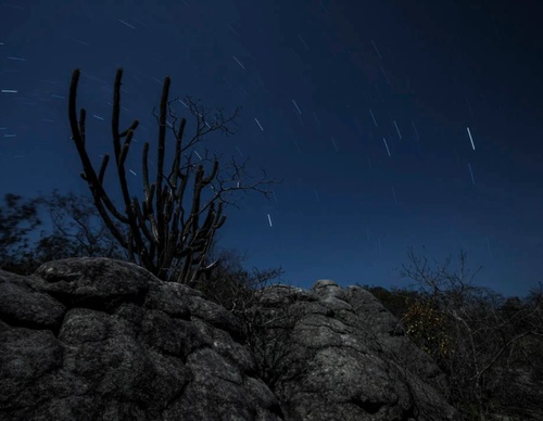 Gallery of photography by Gustavo Bettini-Brazil