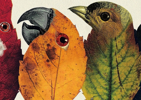 Galeria de ilustrações de Beto Val - Equador