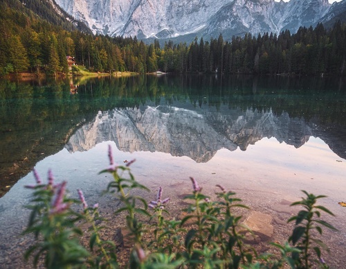 Galería de Fotografía de Thomas Vielgut - Austria