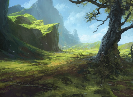 Andreas Rocha