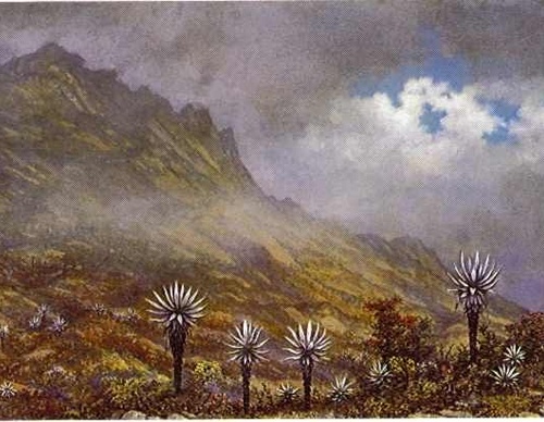 Gallery Of Painting By Gonzalo Ariza - Colombia