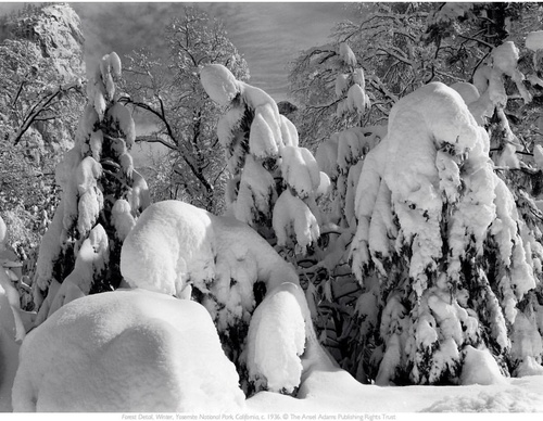 Gallery Of Photography By Ansel Adams - USA