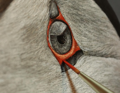 Galería de pintura realista de Annie Drew - Reino Unido