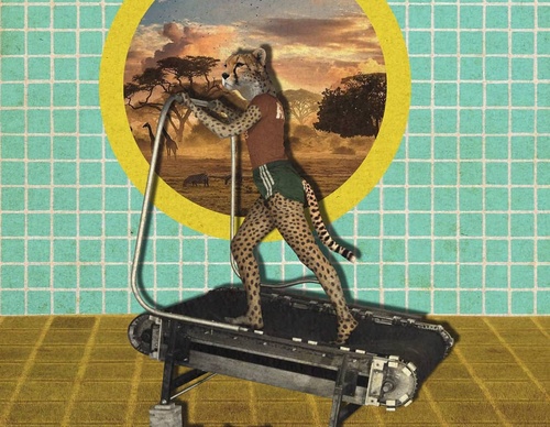 Galería De Ilustración De Marcos Moronell - Argentina