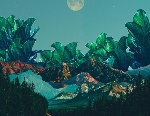 Gallery Of Illustration By Natasha Chomko - USA