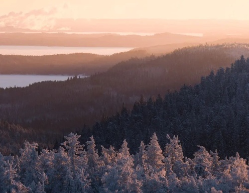 Gallery Of Photography By Elias Kalliola - USA