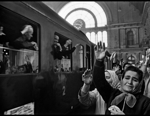 elliott erwitt