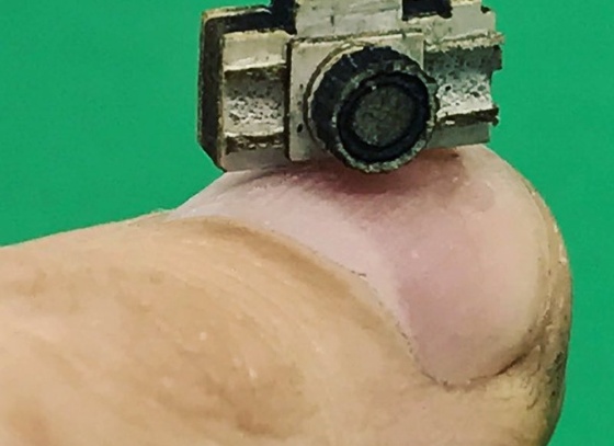 raphael truffi bortholuzzi brazil