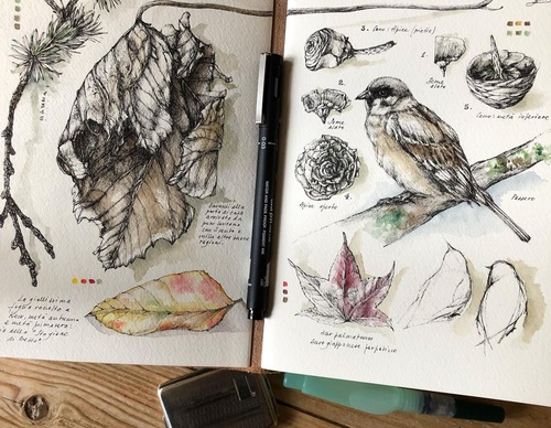 Gallery of Drawing by GiacoMina Ferrillo-Italy