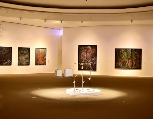 Exposição de Edo Costantini no MAC Niterói, no Rio de Janeiro