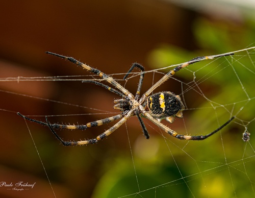 Gallery Of Photography By Norberto Kreutzer Fruhauf - Brazil