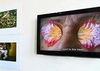 Da Bienal de Havana ao Chile