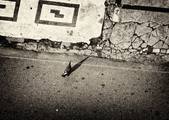 Galeria De Fotografia De Yesid Caicedo - Colômbia