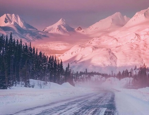 Gallery Of Photography By Patrick Thun - Alaska
