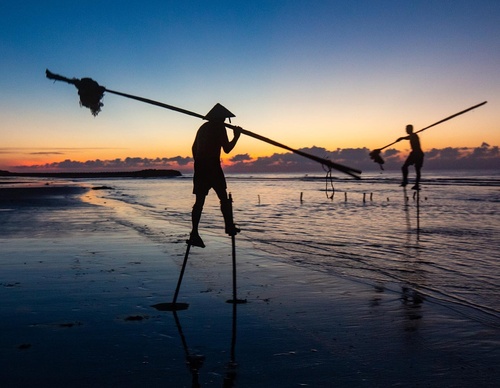 Galería de Fotografía de Tran Tuan Viet - Vietnam