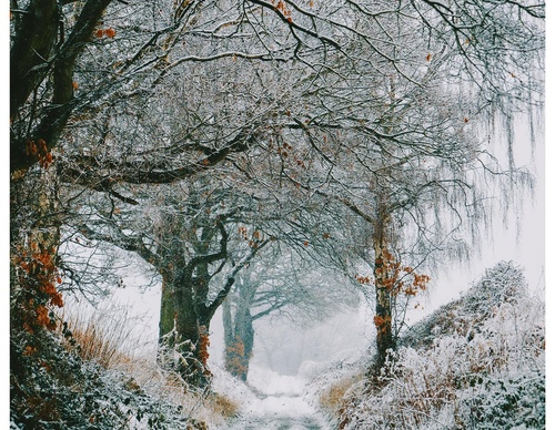Gallery Of Photography By Daniel Casson - United Kingdom