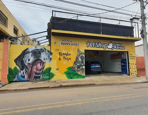 Gallery Of Street Art By Diego Forms - Brazil