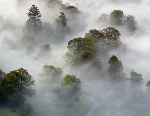 Gallery Of Photography By Mads Peter - Danish