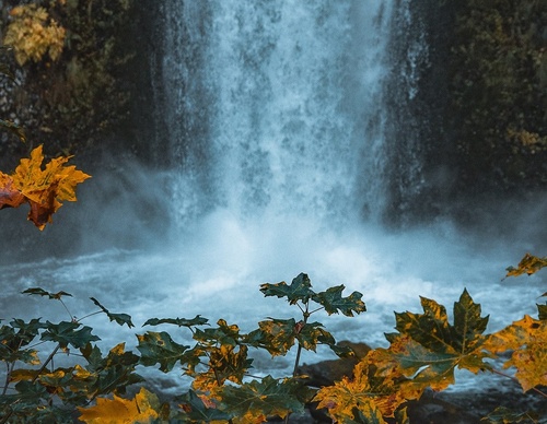 Galería de fotografías de Jared - Canadá