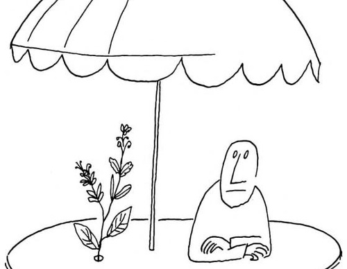 saul steinberg romania