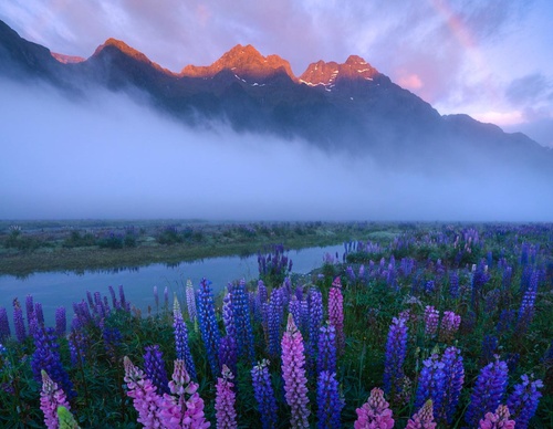 Galeria de fotografias de William Patino - Nova Zelândia