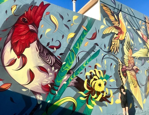 Gallery Of Street Art By Fio Silva - Argentina
