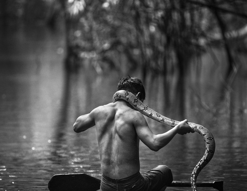 Galería de fotografía de Araquém Alcântara - Brasil