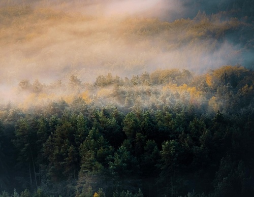 Galería de fotografías de Jan Pallmer - Alemania