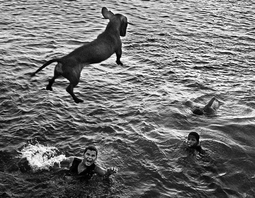 raul canibano
