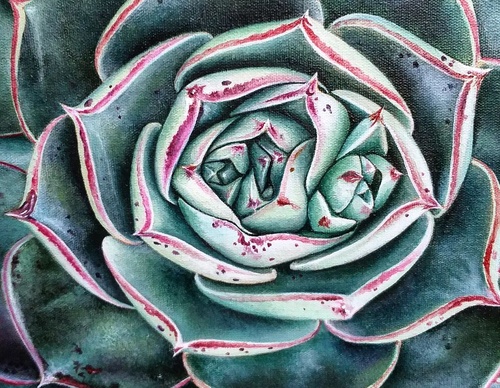 Gallery Of Visual Art By Carlo Batistella - Brazil