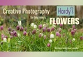 Creative Photography of Flowers