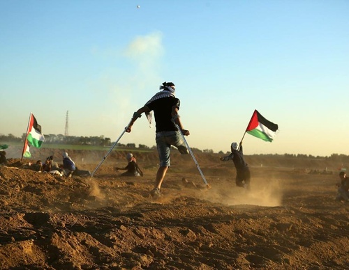 Galería de fotografías de Mohammed Zaanoun - Palestina