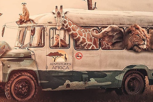 Gallery Of Illustration By Jose Francese - Argentina